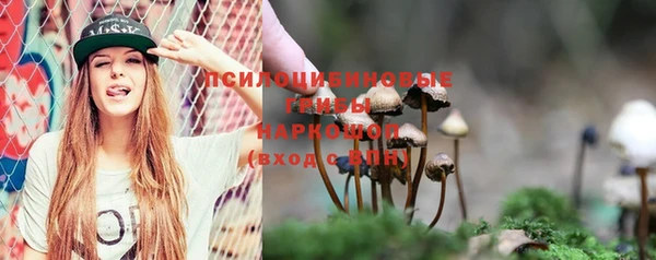 MDMA Богородицк