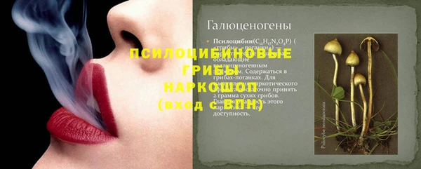 ешки Богородск