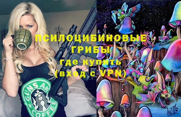 MDMA Богородицк