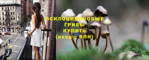 MDMA Богородицк
