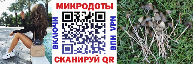 Галлюциногенные грибы ЛСД  Духовщина 