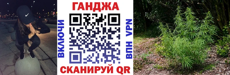 Конопля MAZAR  Духовщина 